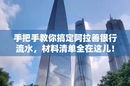 手把手教你搞定阿拉善银行流水，材料清单全在这儿！