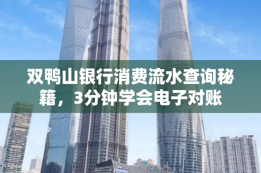 双鸭山银行消费流水查询秘籍，3分钟学会电子对账