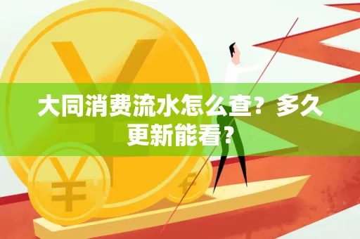 大同消费流水怎么查？多久更新能看？