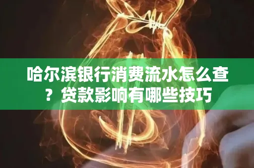 哈尔滨银行消费流水怎么查？贷款影响有哪些技巧