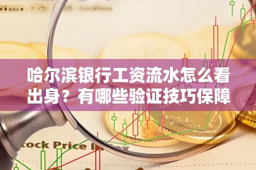 哈尔滨银行工资流水怎么看出身？有哪些验证技巧保障贷款过关？